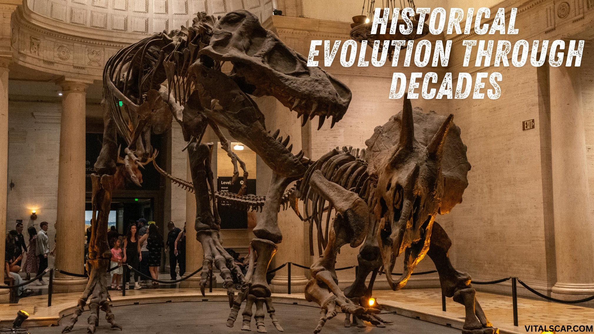 Historical Evolution Through Decades Historical Evolution Through Decades