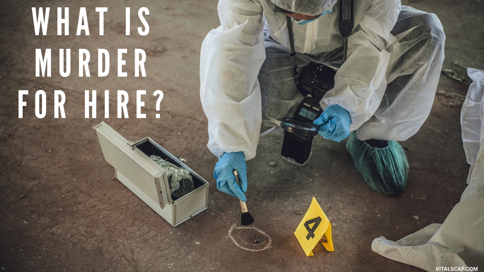 What Is Murder for Hire?