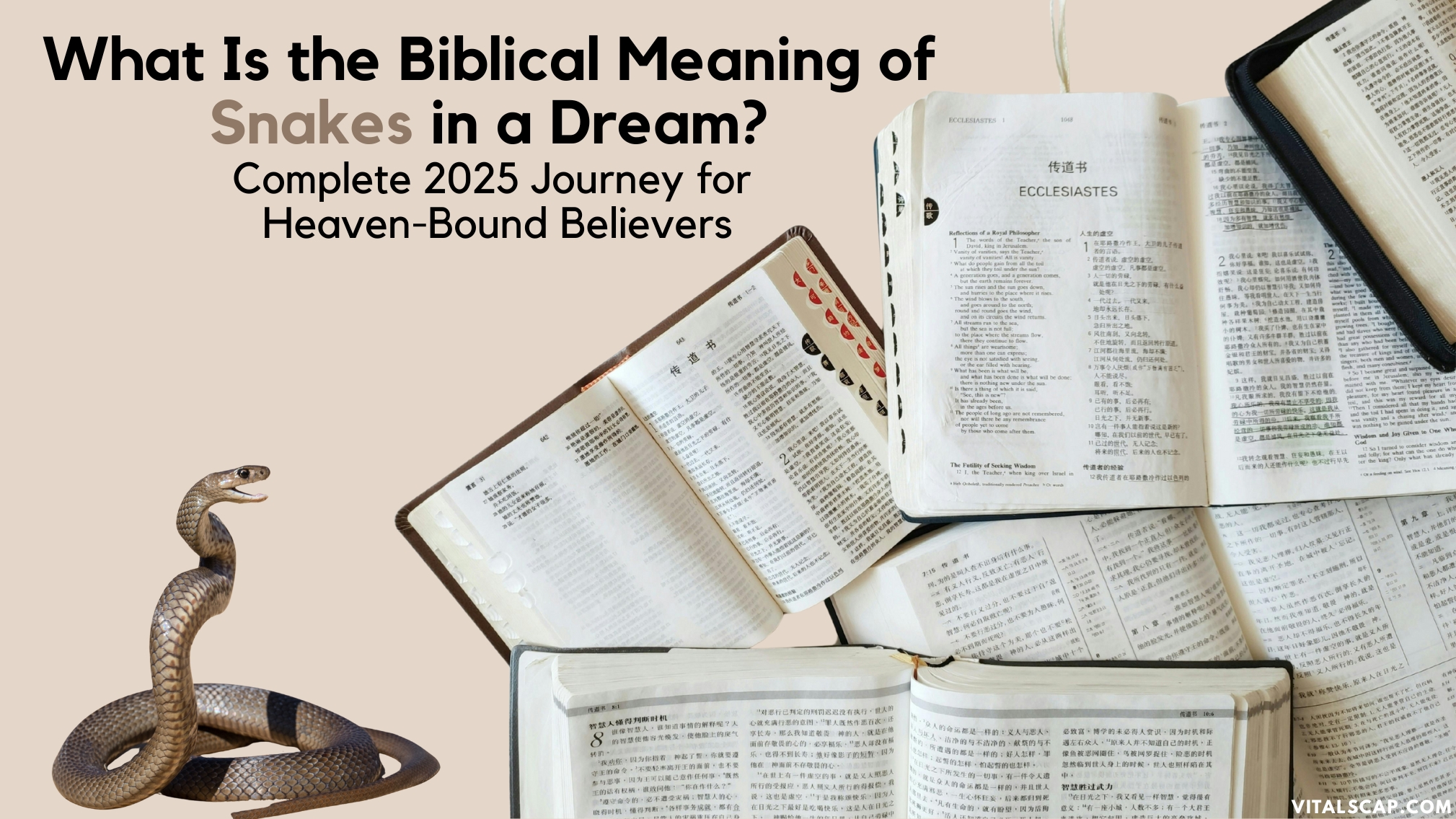 What Is the Biblical Meaning of Snakes in a Dream?