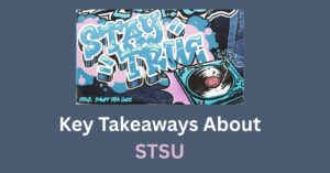 STSU Meaning in Text Master This Powerful Acronym in 2025