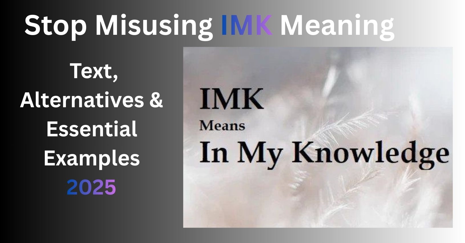 IMK Meaning